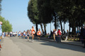frascatipino_284