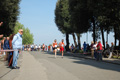 frascatipino_290