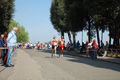 frascatipino_291