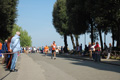 frascatipino_296