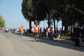 frascatipino_299