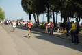 frascatipino_312