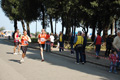 frascatipino_318