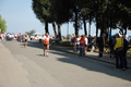 frascatipino_321
