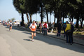 frascatipino_323