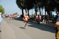frascatipino_330