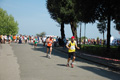 frascatipino_334