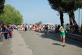frascatipino_338
