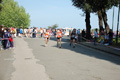 frascatipino_340