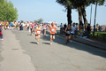 frascatipino_342