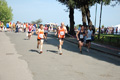 frascatipino_343