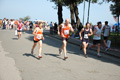 frascatipino_344