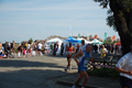 frascatipino_346