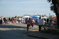 frascatipino_347