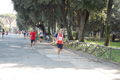 frascatipino_354