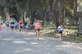 frascatipino_359