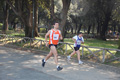 frascatipino_361