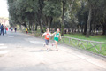 frascatipino_384
