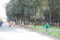 frascatipino_394