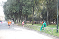 frascatipino_395