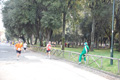 frascatipino_396