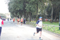 frascatipino_399
