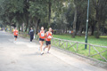 frascatipino_402