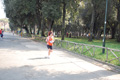 frascatipino_406