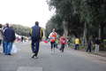 frascatipino_413