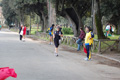 frascatipino_417