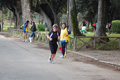 frascatipino_419