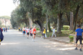 frascatipino_424