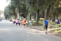 frascatipino_425