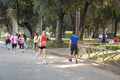 frascatipino_426