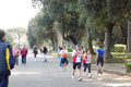 frascatipino_428