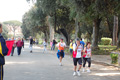 frascatipino_429