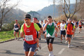miguel_1315