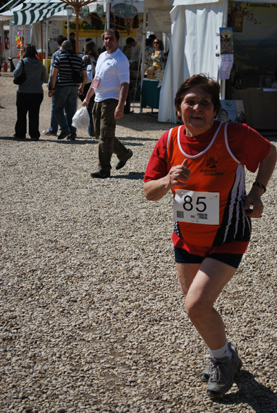 Maratonina delle 100 Province Italiane (03/05/2009) brunetti_0127