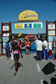 speata_9609