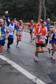 romaostia_6790
