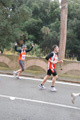 romaostia_6993