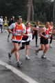 romaostia_7193