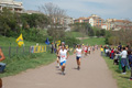 crosscaffarella_135