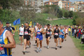 crosscaffarella_153