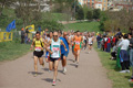 crosscaffarella_160