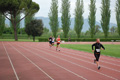 rietipino_321
