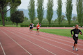 rietipino_322