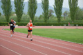 rietipino_324