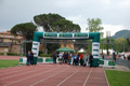 rietipino_332