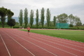rietipino_333